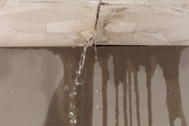 Professional Water Extraction technician working in Burns, TN